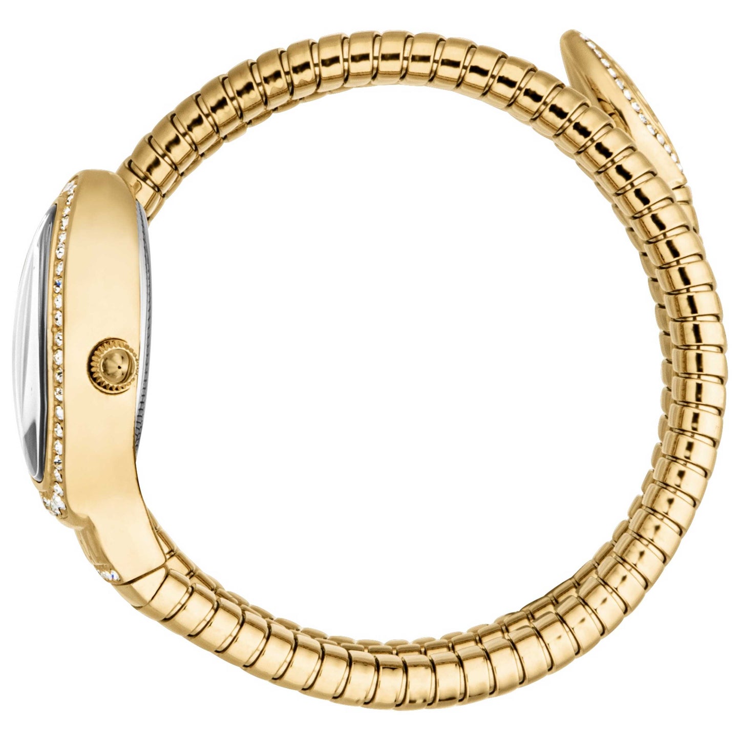 Just Cavalli Carezza Women's Quartz Watch JC1L372M0025 - Image #4