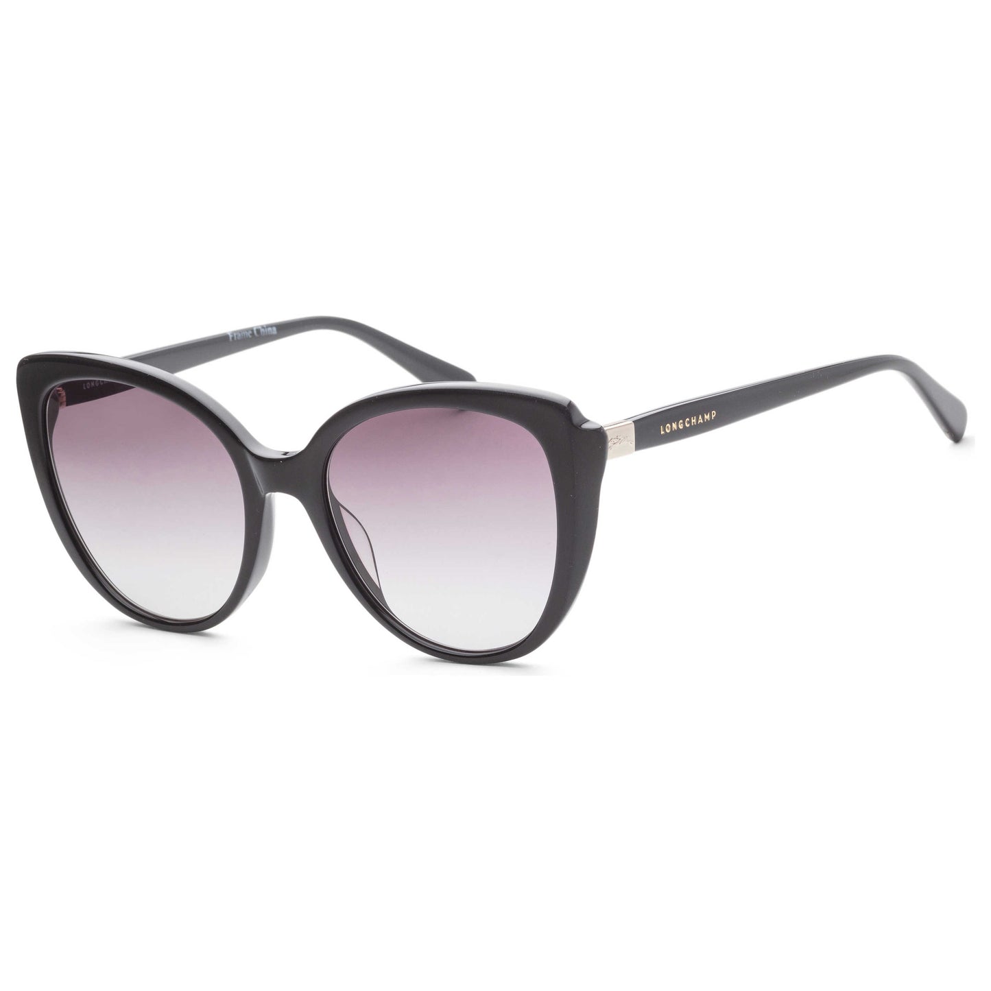 Front view of Longchamp Fashion Women's Sunglasses LO670S-001