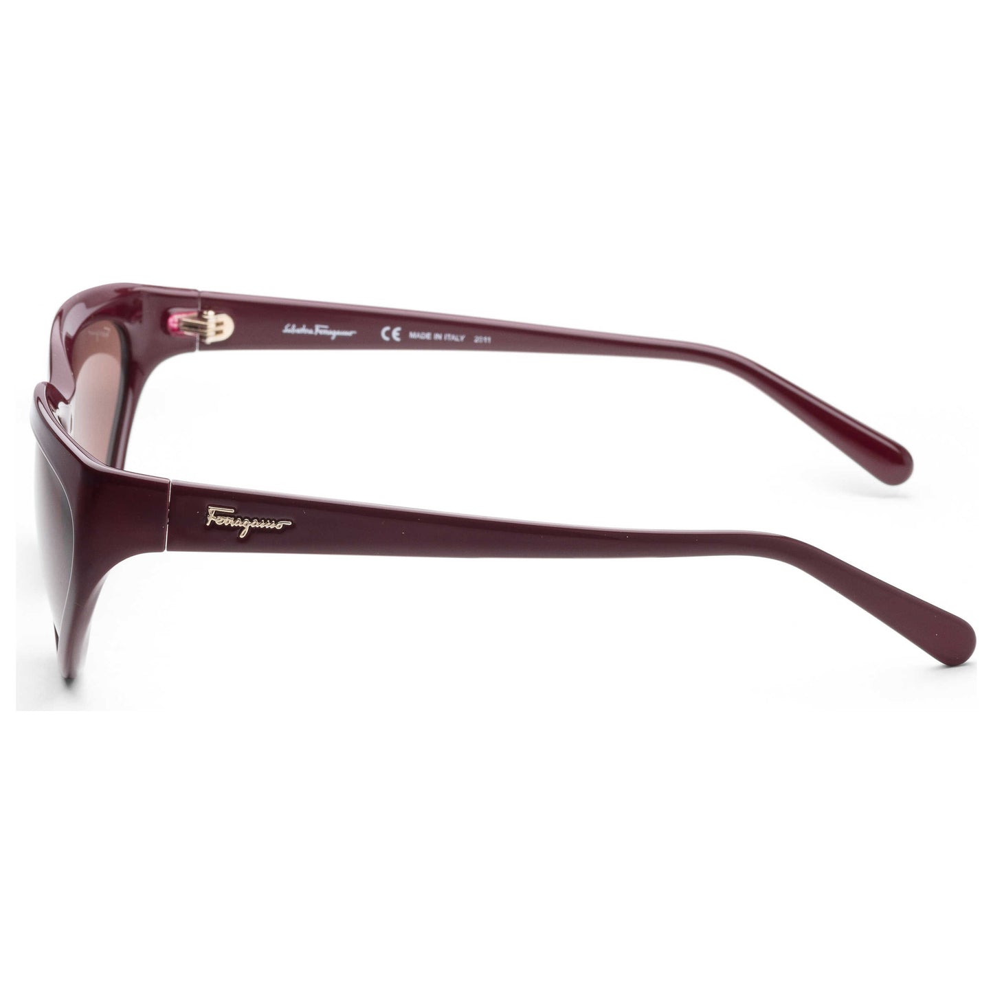 Left view of Ferragamo Fashion Women's Sunglasses SF1017S-604