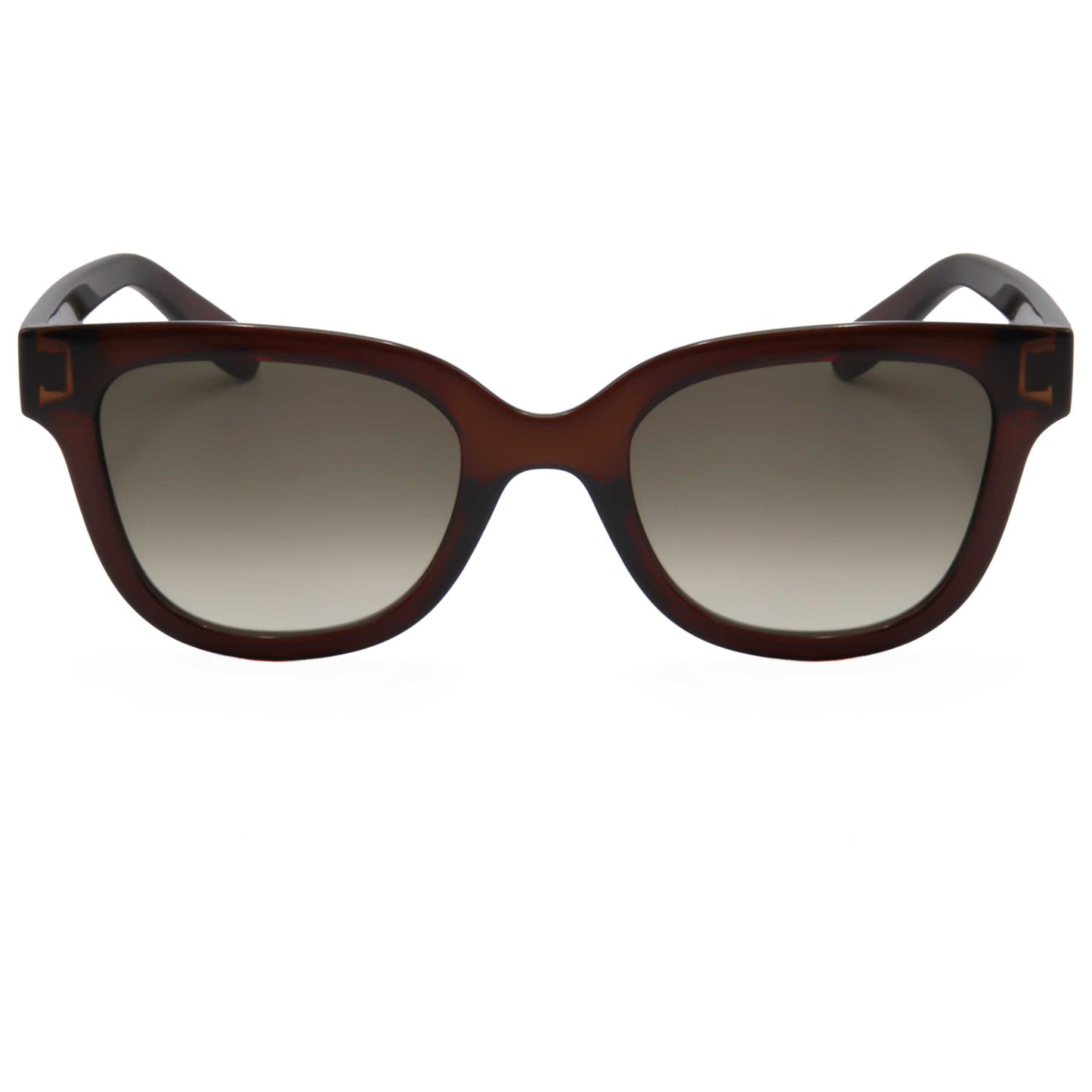 Ferragamo Fashion Women's Sunglasses SF1066S-210 - Image #6