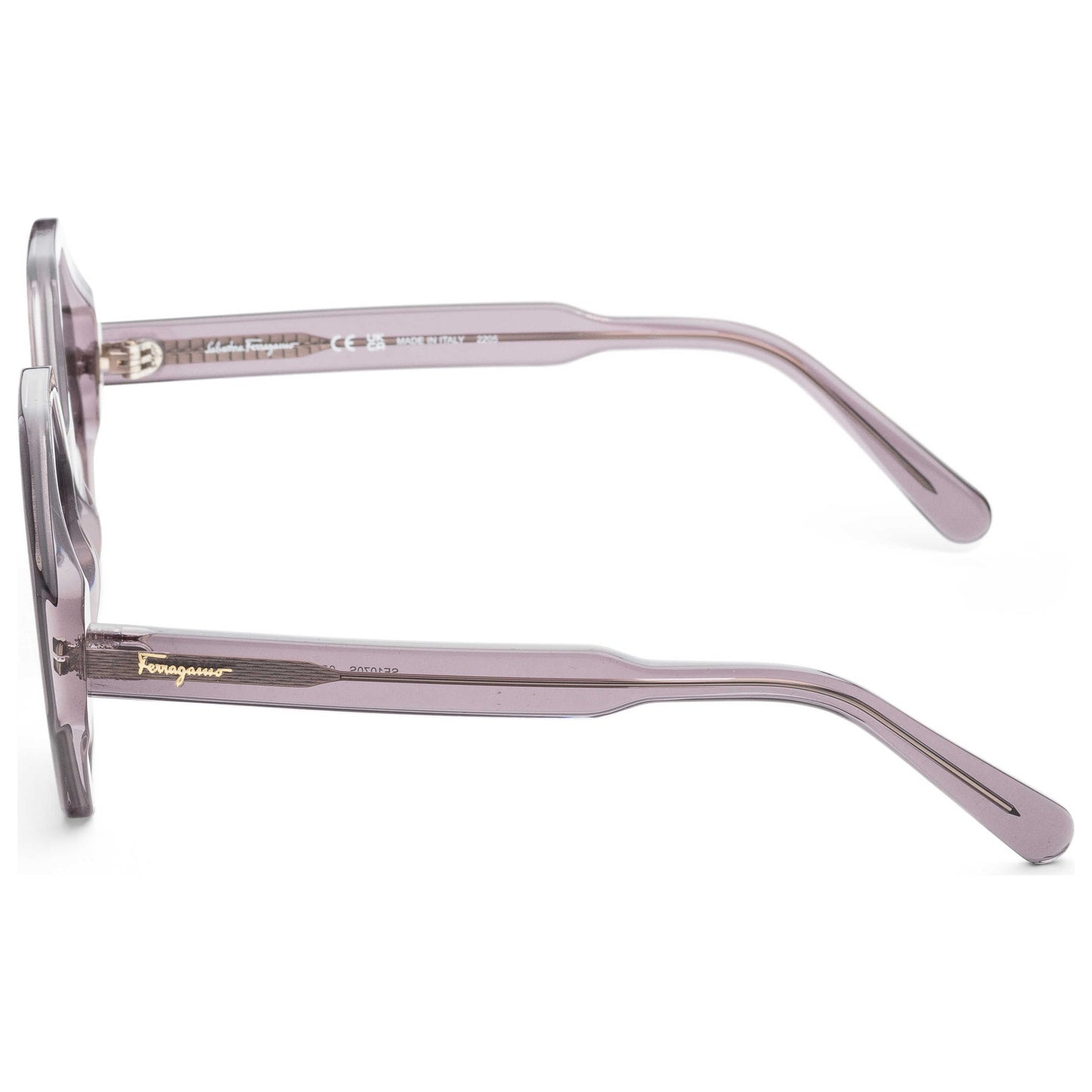 Left view of Ferragamo Fashion Women's Sunglasses SF1070S-057-55