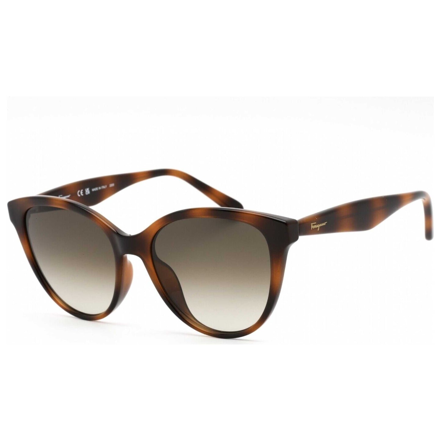 Front view of Ferragamo Fashion Women's Sunglasses SF1073S-240