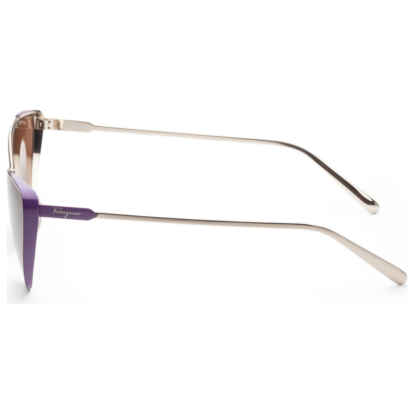Left view of Ferragamo Fashion Women's Sunglasses SF206S-736