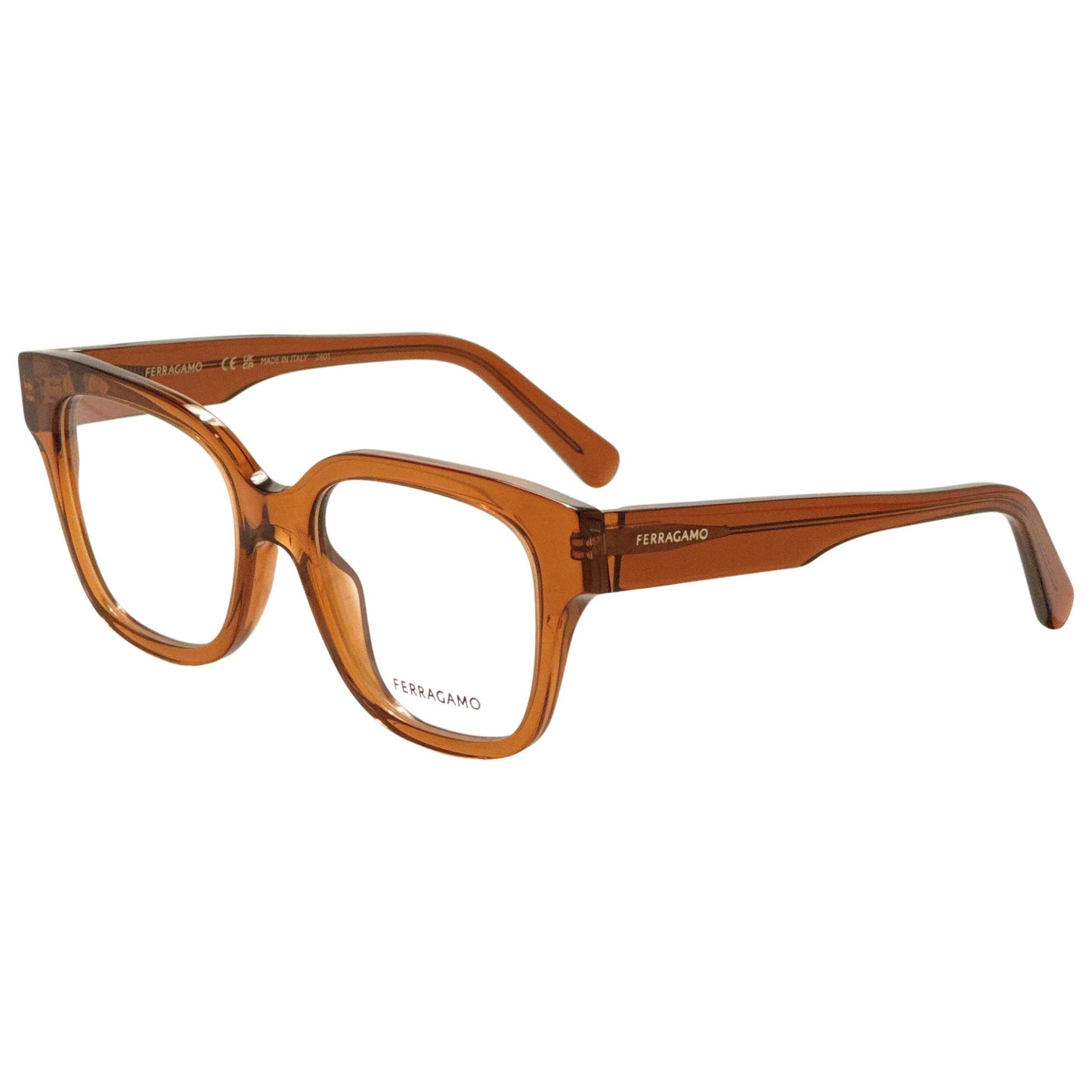 Front view of Ferragamo Unisex Opticals SF2952N-261-53