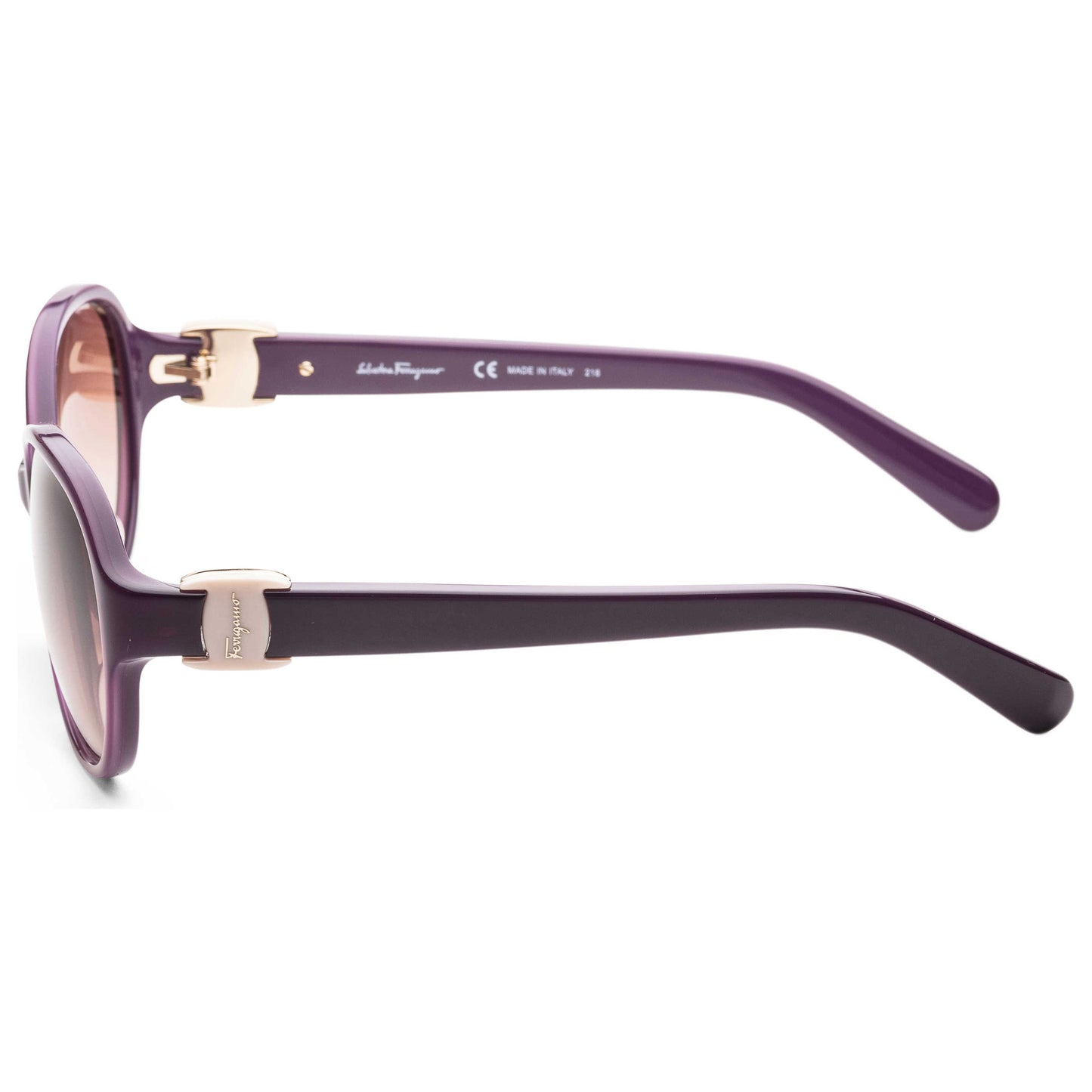 Left view of Ferragamo Fashion Women's Sunglasses SF841SA-5815500
