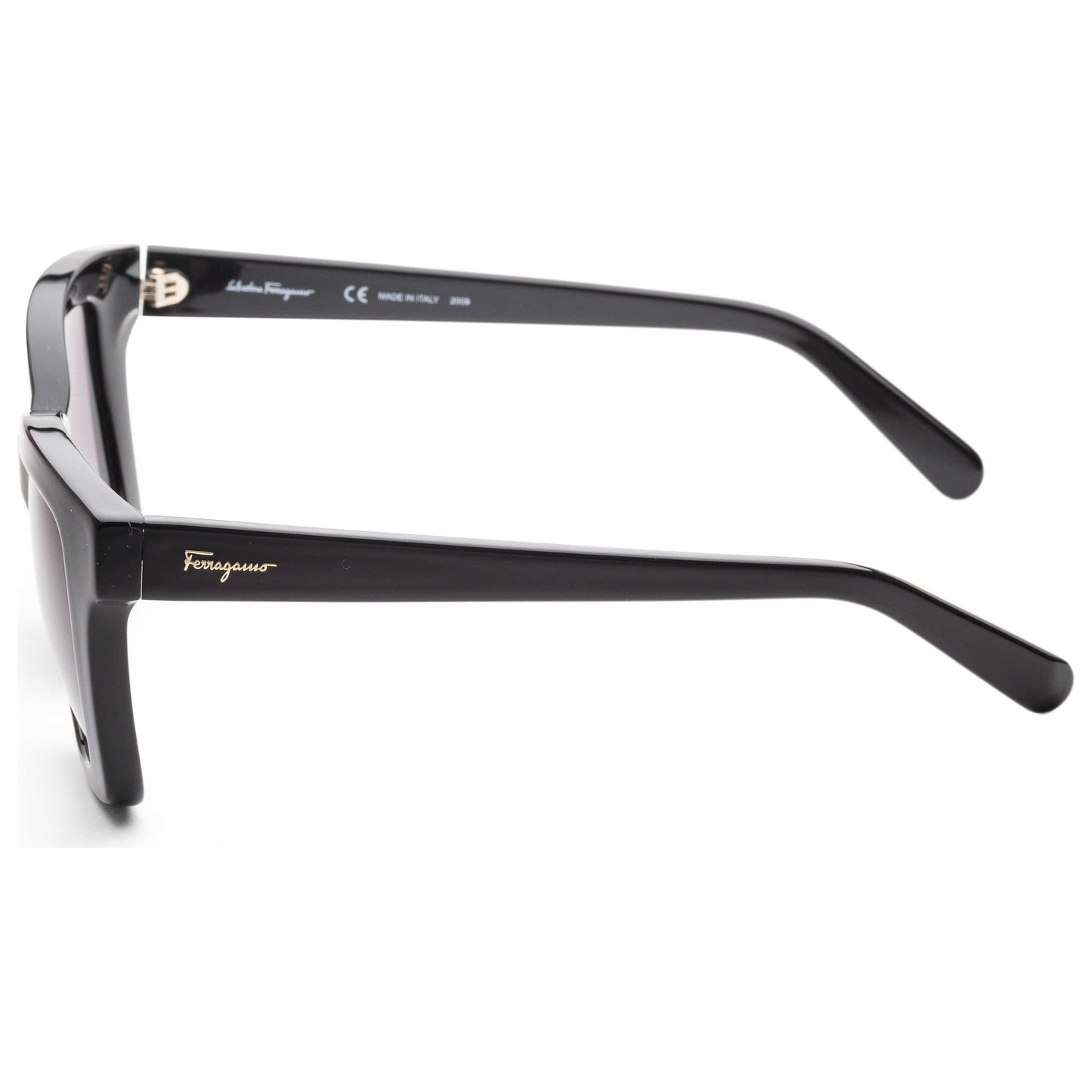 Left view of Ferragamo Women's Sunglasses SF955S-5319001