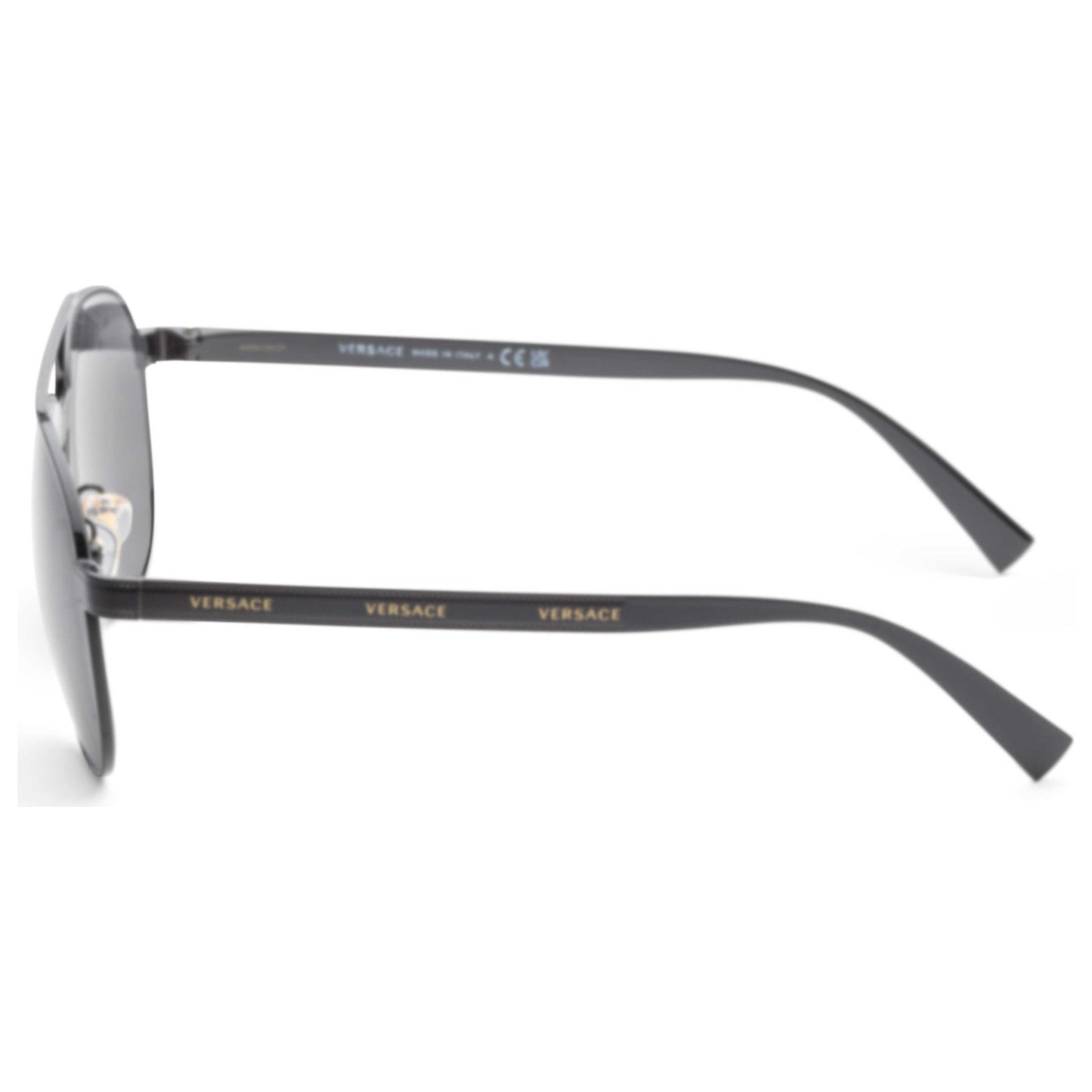 Left view of Versace Fashion Unisex Sunglasses VE2209-10098758