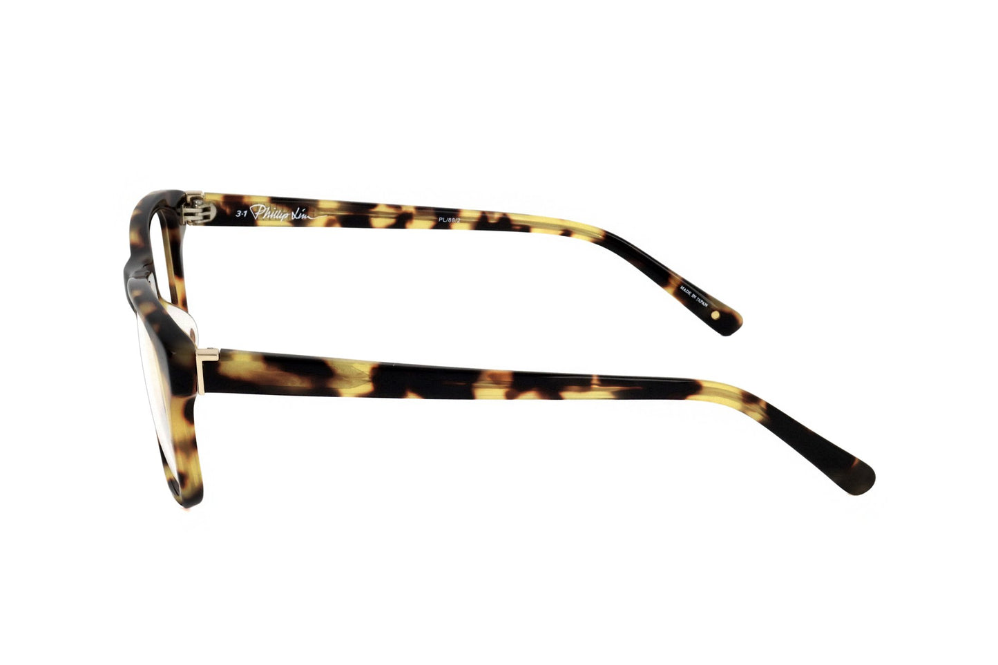 TORTOISE variant third image