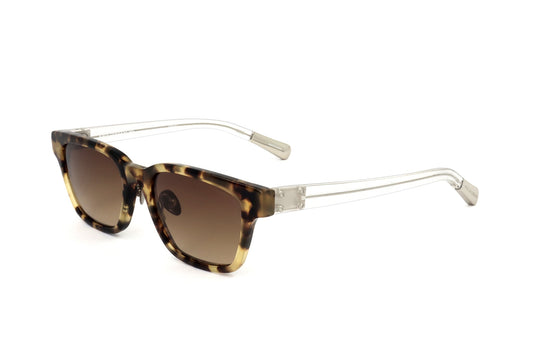 TORTOISE variant second image