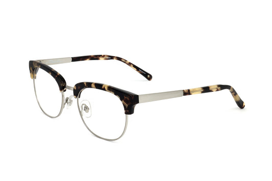 TORTOISE 1 variant second image