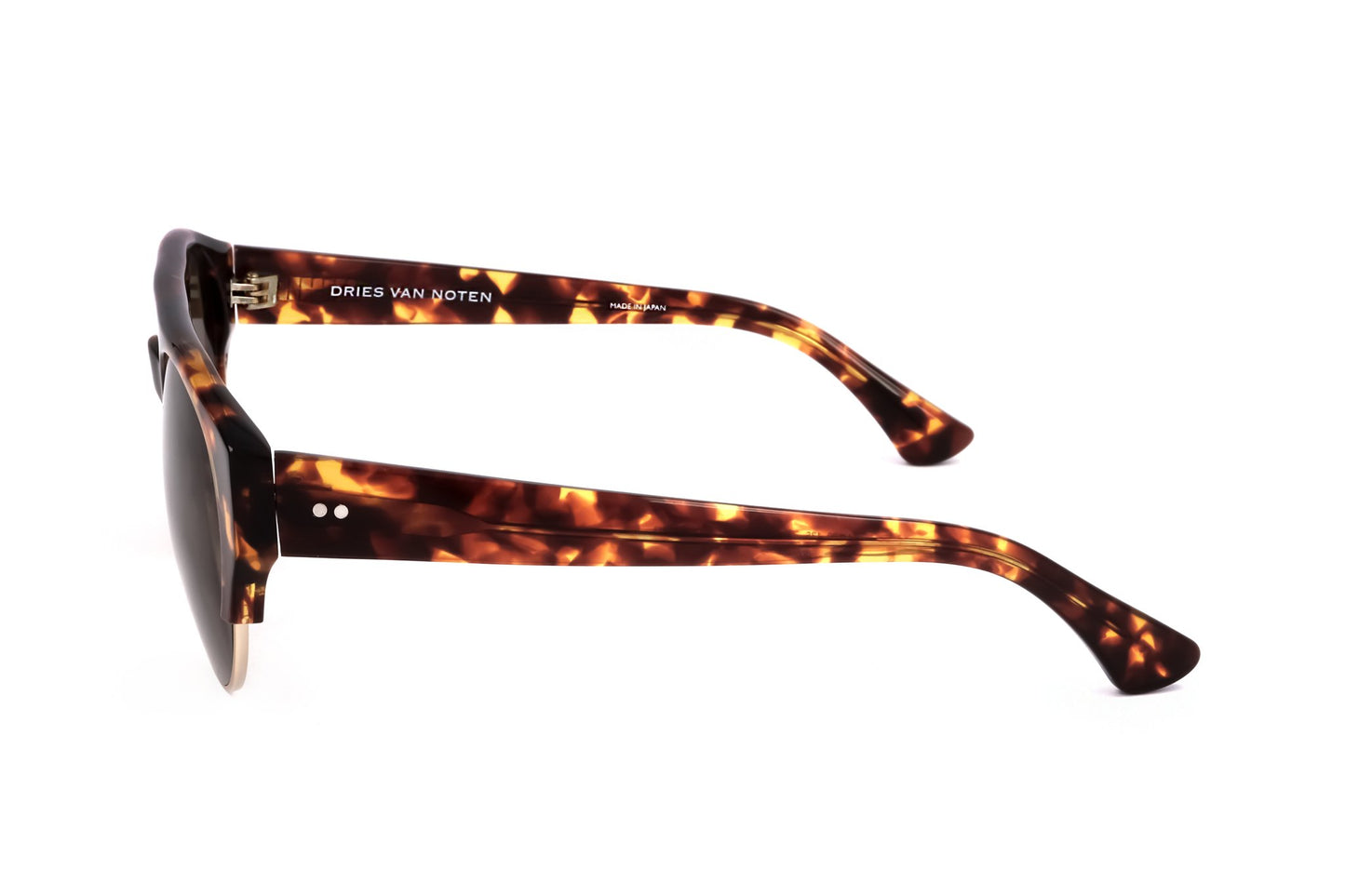 TORTOISE variant third image