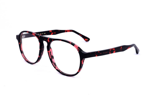 TORTOISE 1 variant second image