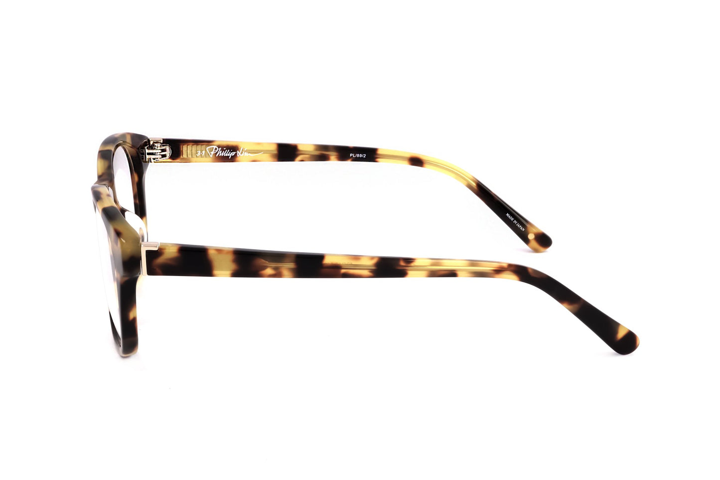 TORTOISE variant third image