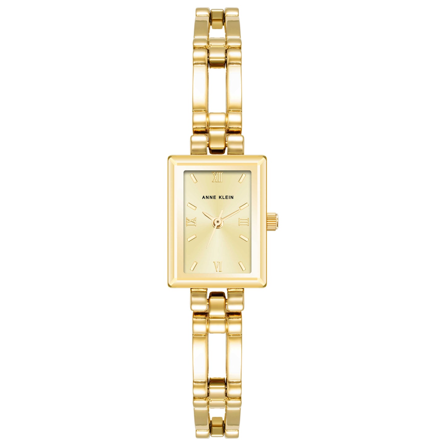 Front view of Anne Klein Classic Women's Quartz Watch 10-4898CHGP