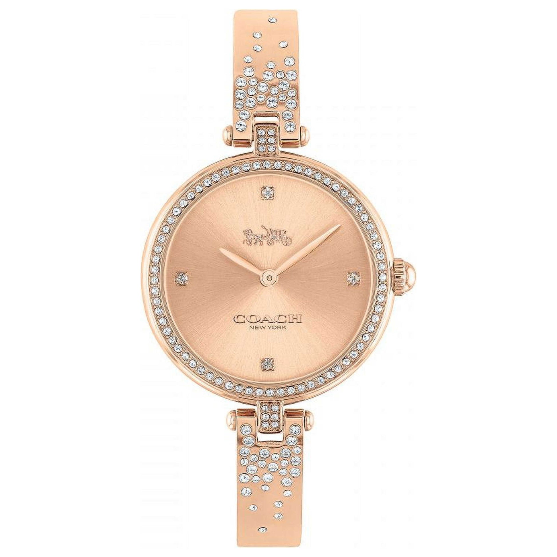 Front view of Coach Park Women's Quartz Watch 14503651