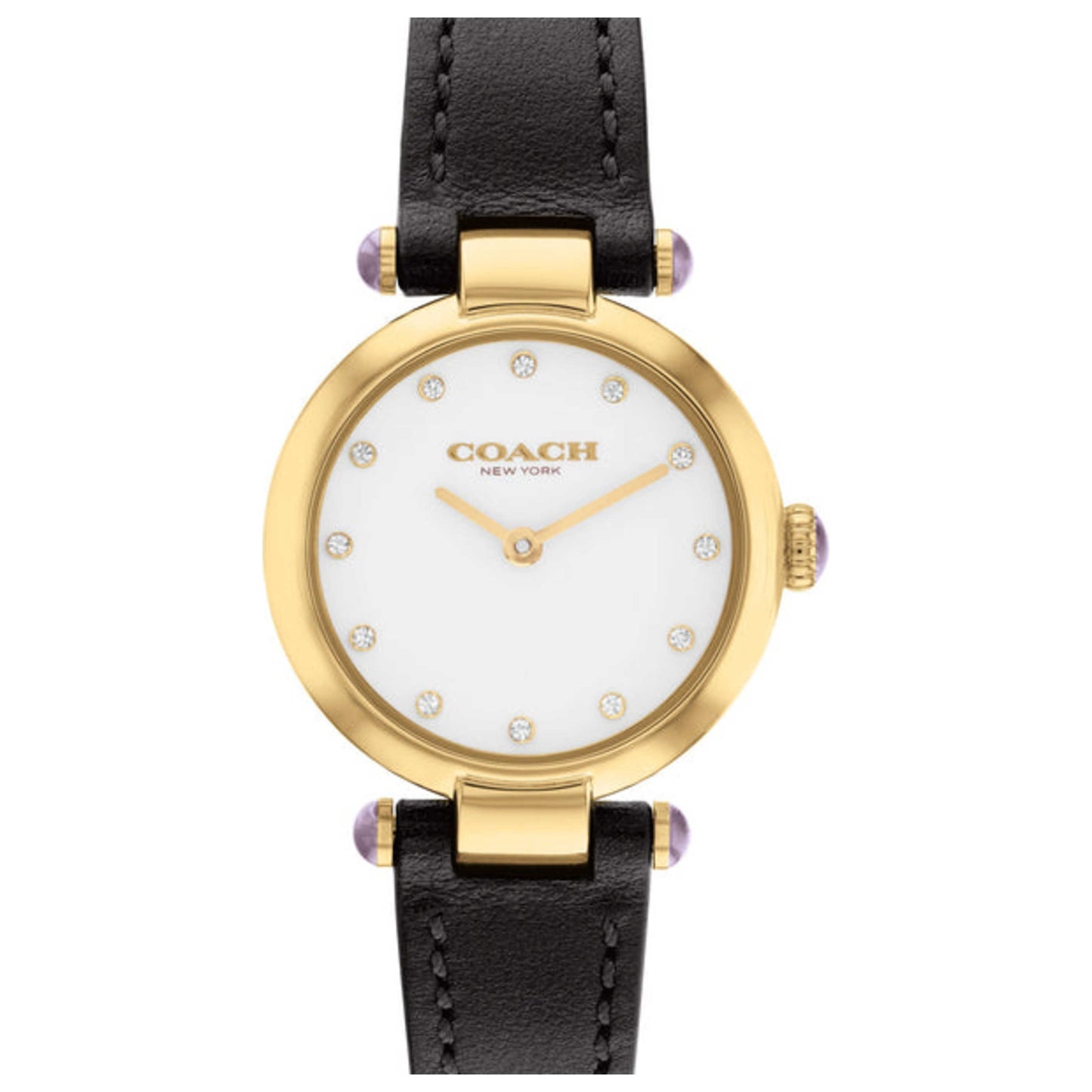 Front view of Coach Cary Women's Quartz Watch 14504014