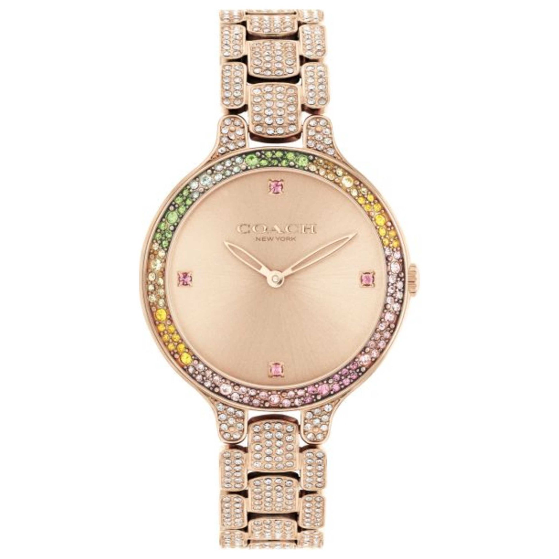Front view of Coach Chelsea Women's Quartz Watch 14504166