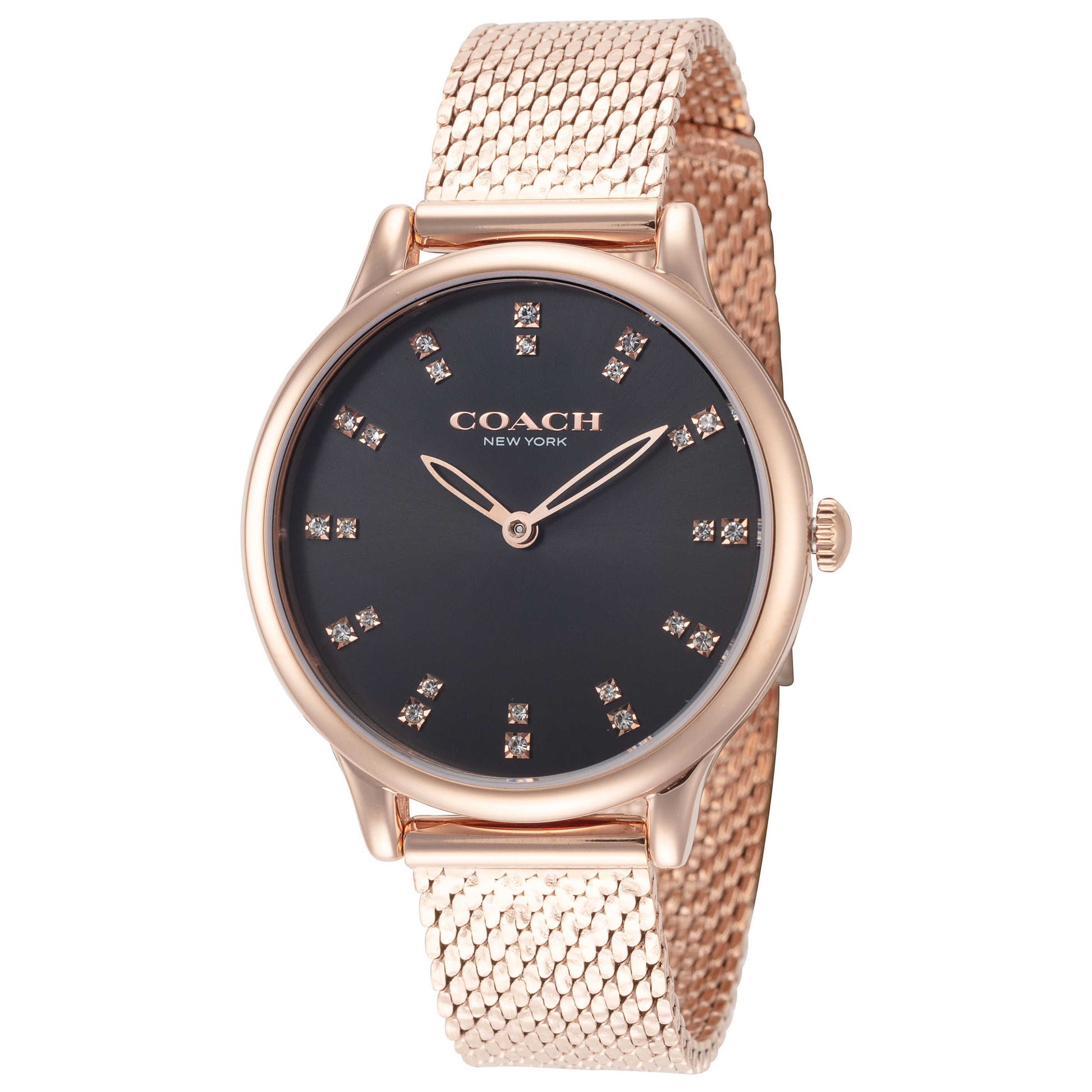 Front view of Coach Chelsea Women's Quartz Watch 14504217