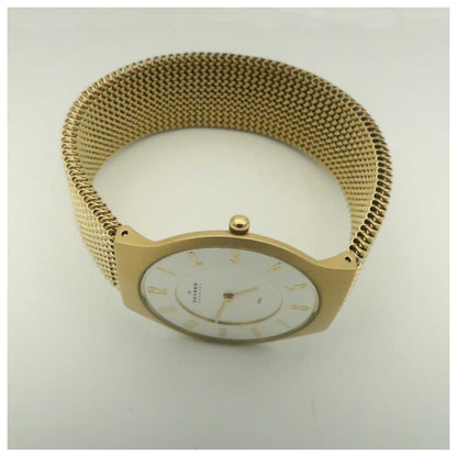 Skagen Mesh Men's Japanese Quartz (Battery-Powered) Watch 233LGG3L-PO - Image #8