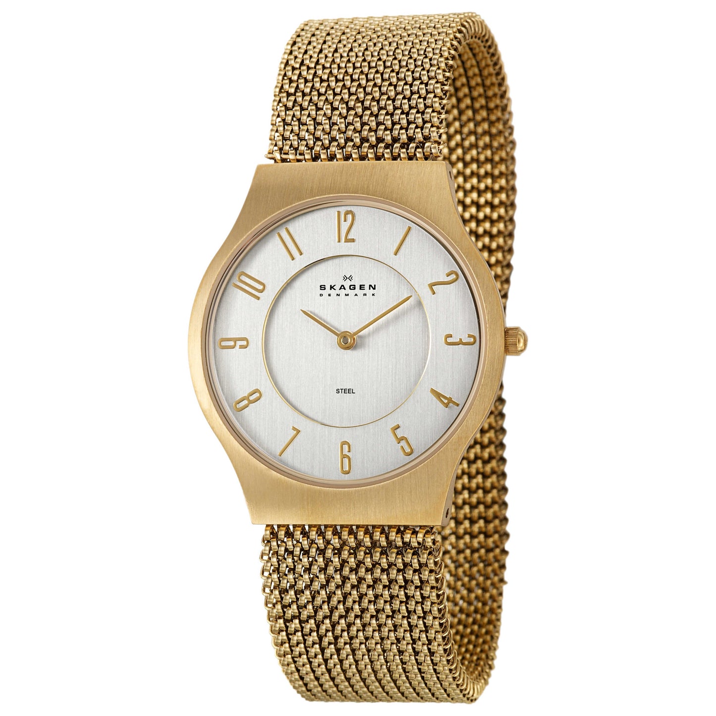 Front view of Skagen Mesh Men's Japanese Quartz (Battery-Powered) Watch 233LGG3L