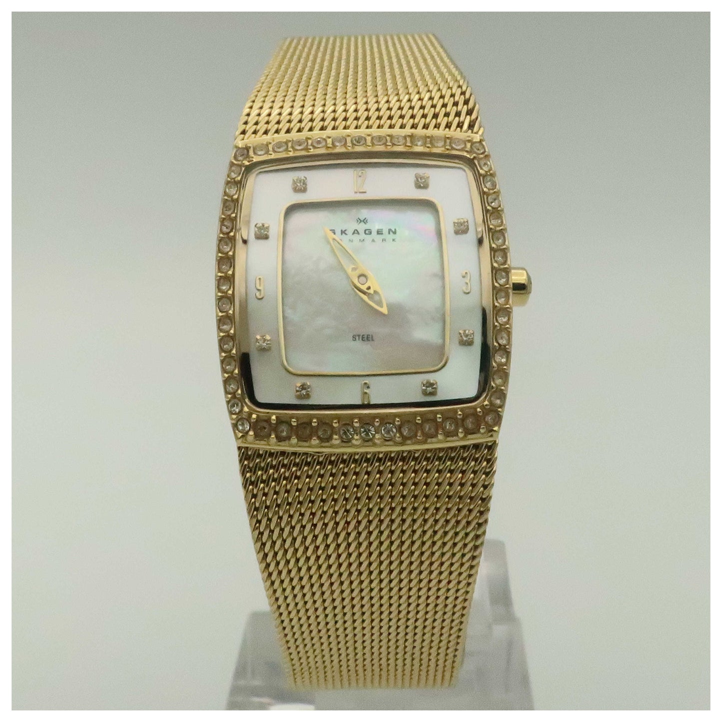 Front view of Skagen Mesh Women's Quartz Watch 384XSGG1-SD