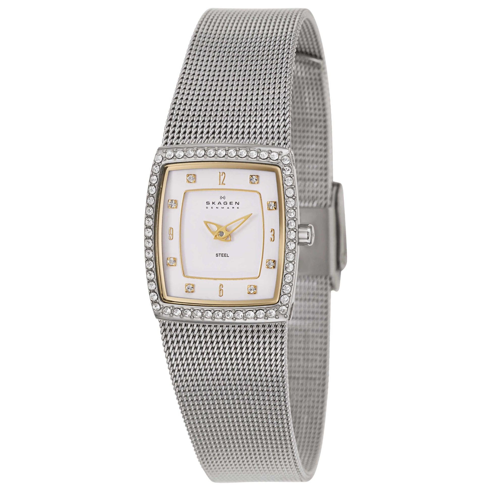 Front view of Skagen Mesh Women's Japanese Quartz (Battery-Powered) Watch 384XSGSW1