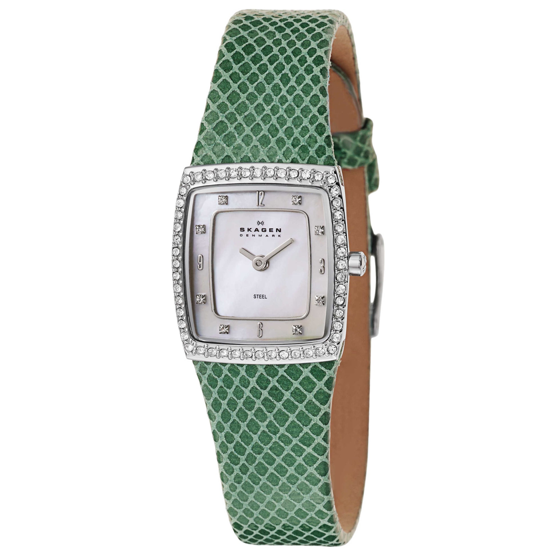 Front view of Skagen Leather Women's Japanese Quartz (Battery-Powered) Watch 384XSSLGR