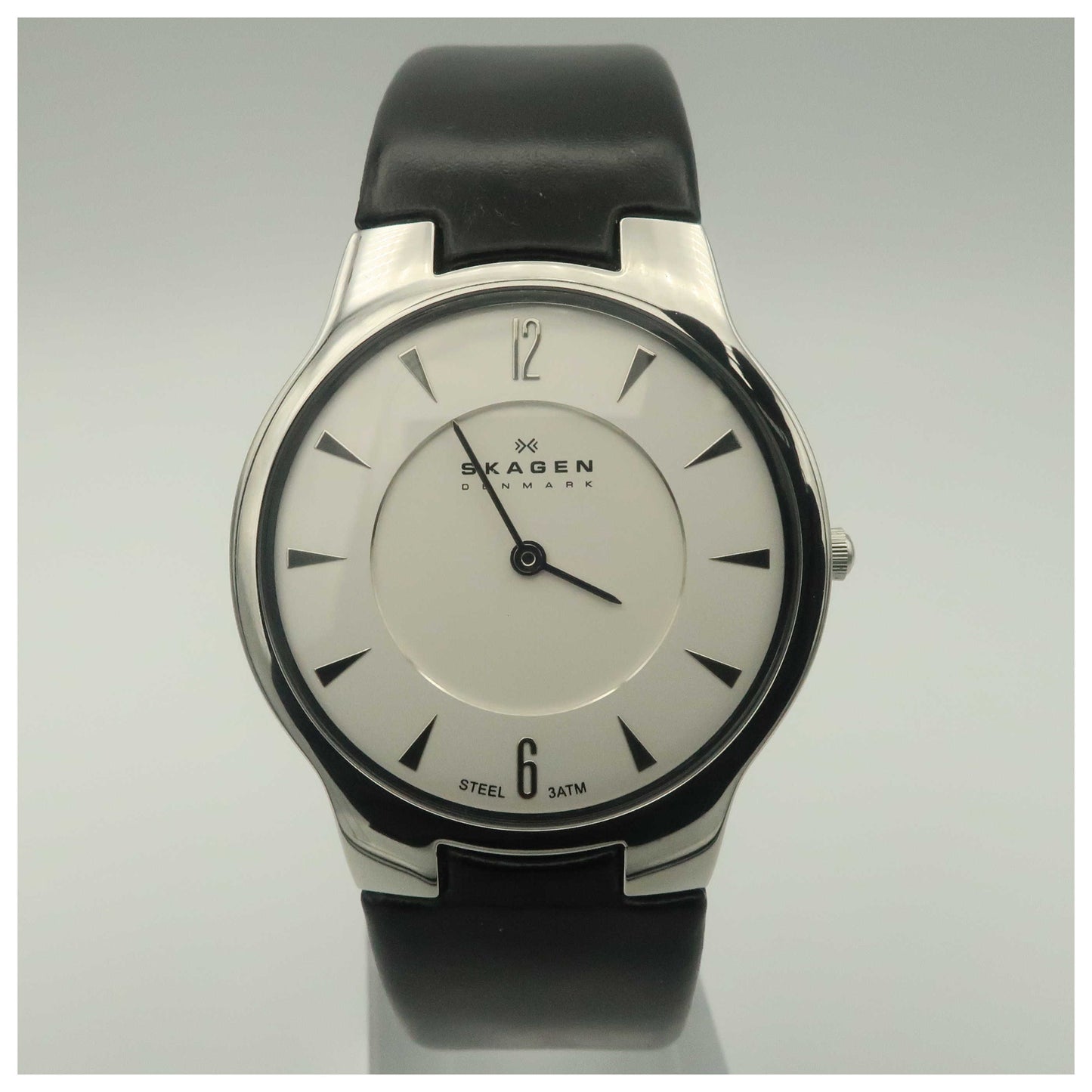 Front view of Skagen Leather Women's Japanese Quartz (Battery-Powered) Watch 433LSLB1-SD