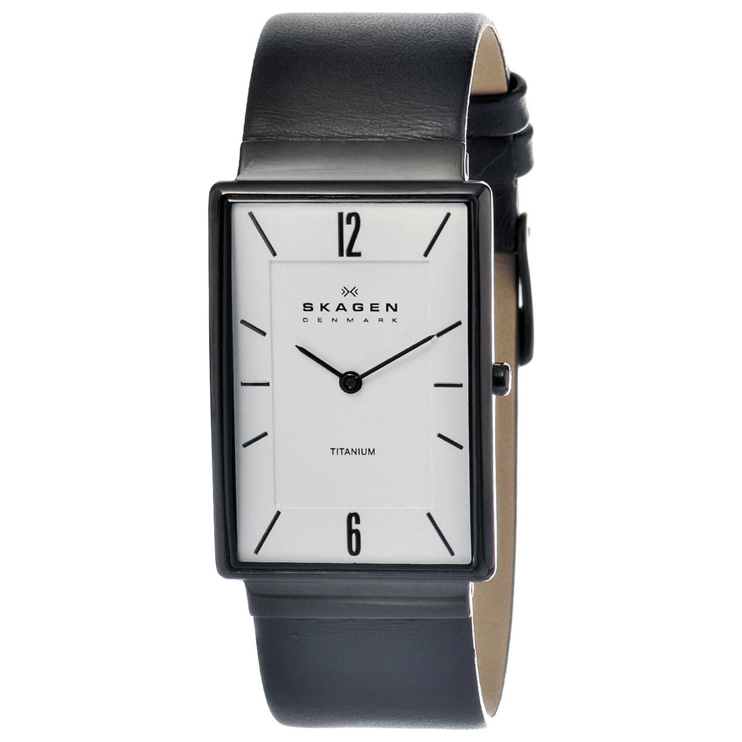 Front view of Skagen Titanium Men's Japanese Quartz (Battery-Powered) Watch 434LTLW