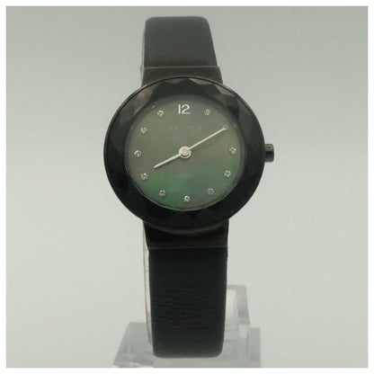 Front view of Skagen Leonora Women's Japanese Quartz (Battery-Powered) Watch 456SBLB-PO