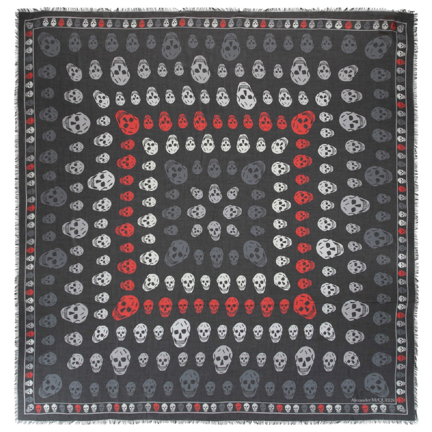 Front view of Alexander McQueen Fashion Scarves 496827-3418Q-1062-NS