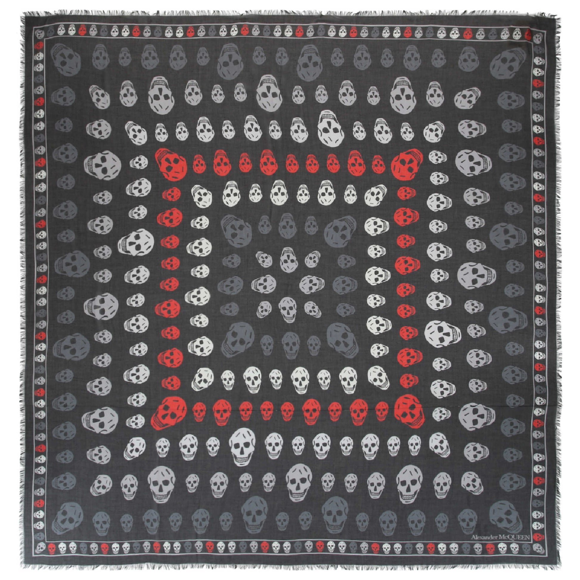 Front view of Alexander McQueen Fashion Scarves 496827-3418Q-1062-NS