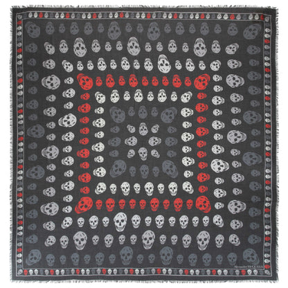 Front view of Alexander McQueen Fashion Scarves 496827-3418Q-1062-NS