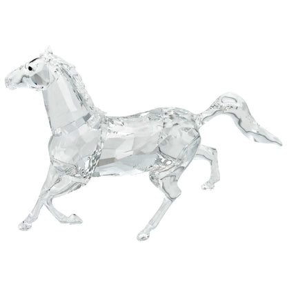 Front view of Swarovski Stallion Men's Watch Accessories 5135909