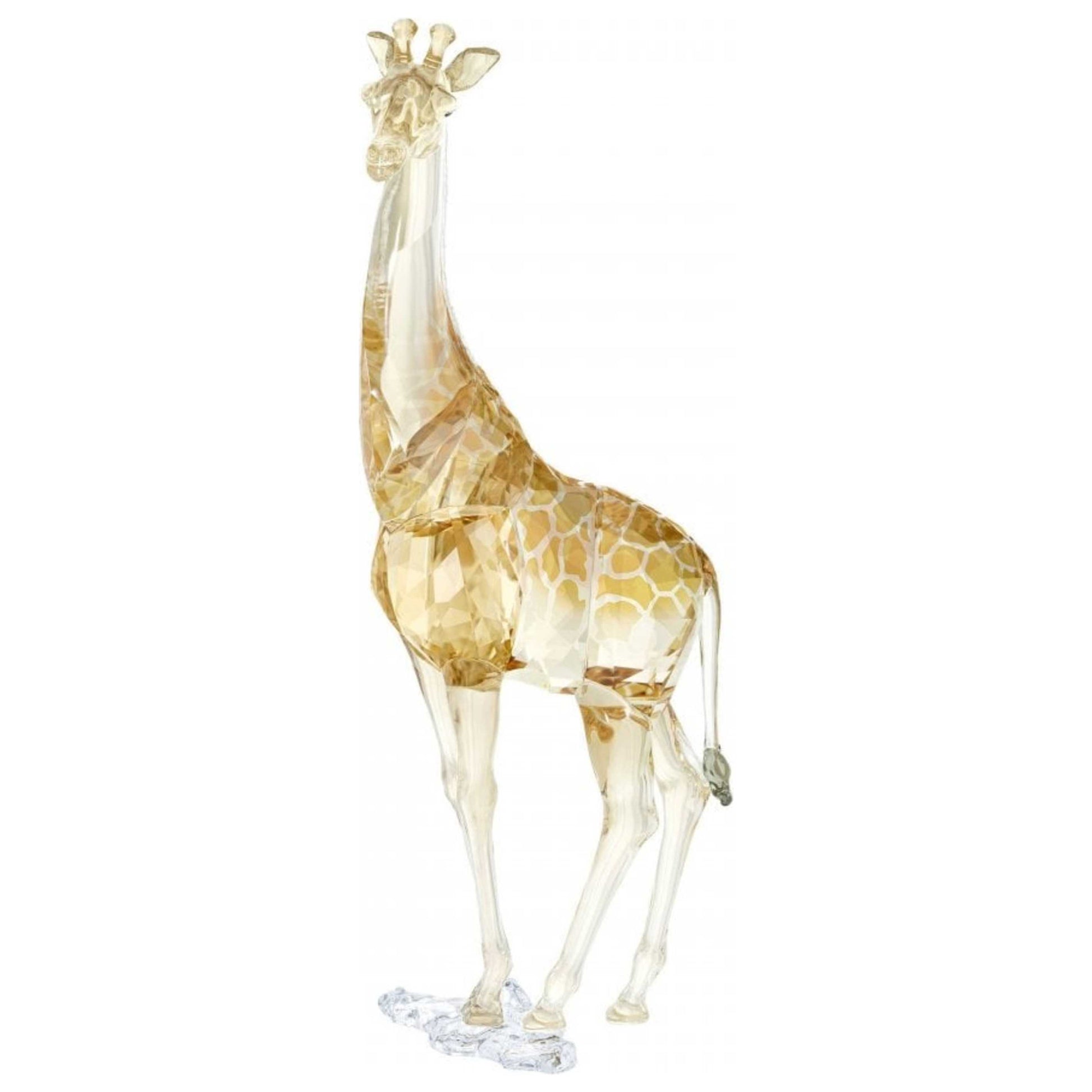 Front view of Swarovski SCS Giraffe Unisex Figurine 5301550
