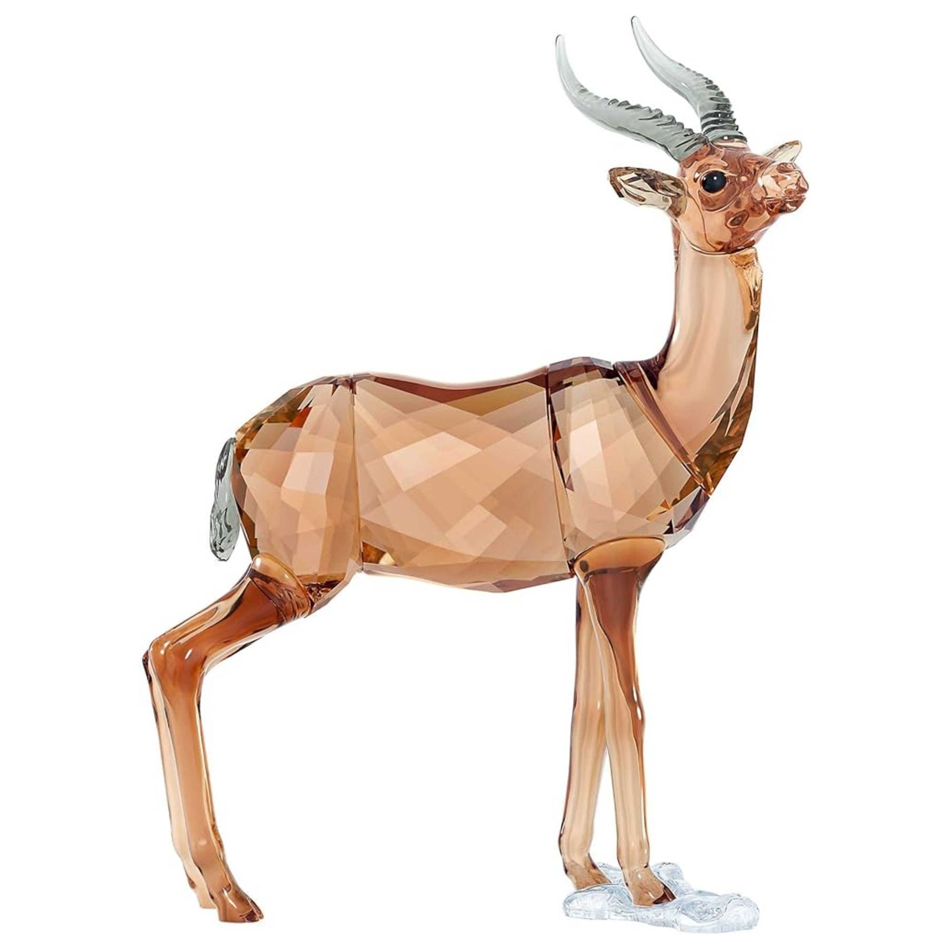 Front view of Swarovski SCS Gazelle Unisex Figurine 5301551