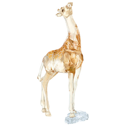 Front view of Swarovski SCS Giraffe Unisex Figurine 5302151