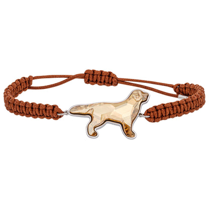 Front view of Swarovski Pets Women's Bracelet 5431410