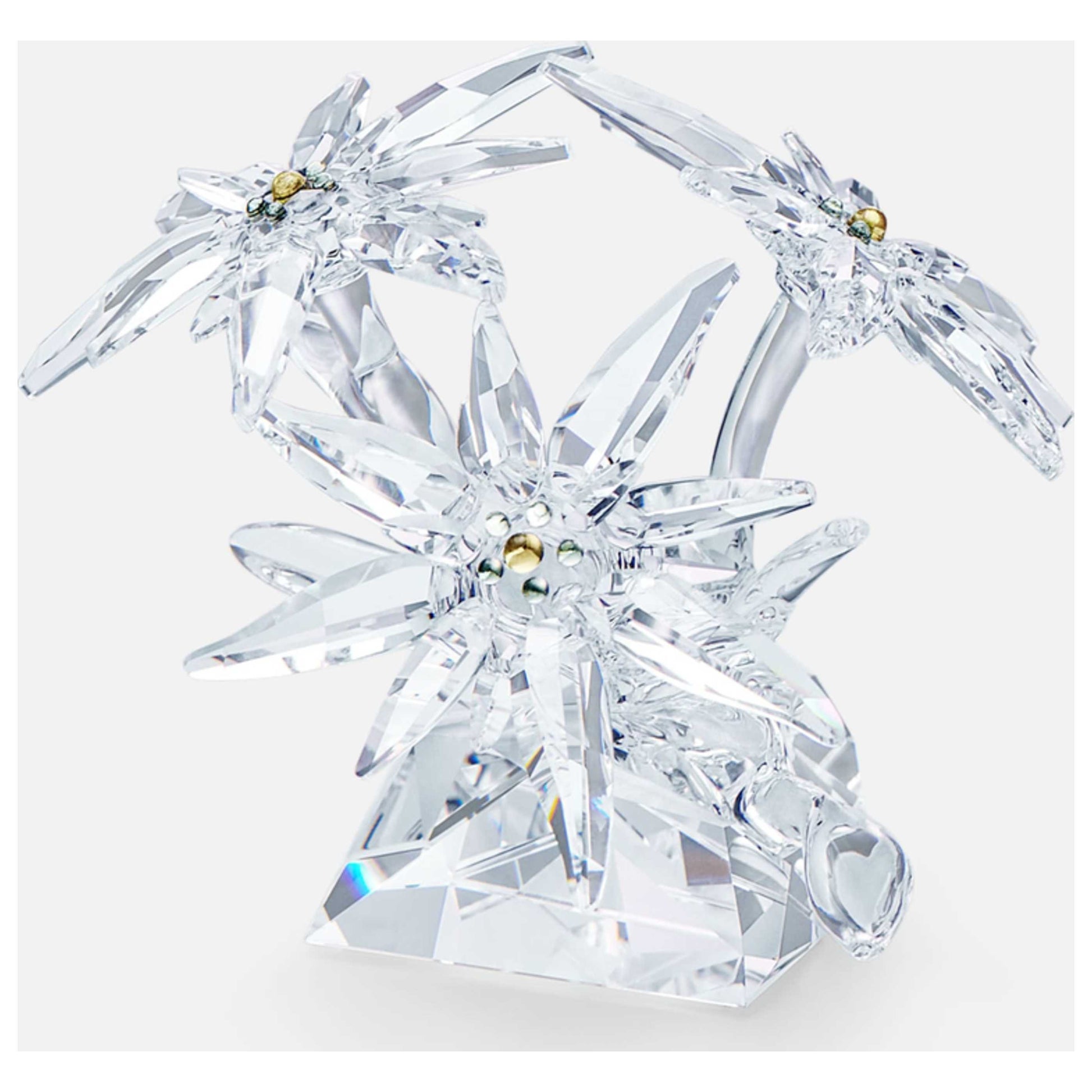 Front view of Swarovski SCS Edelweiss Unisex Figurine 5493708