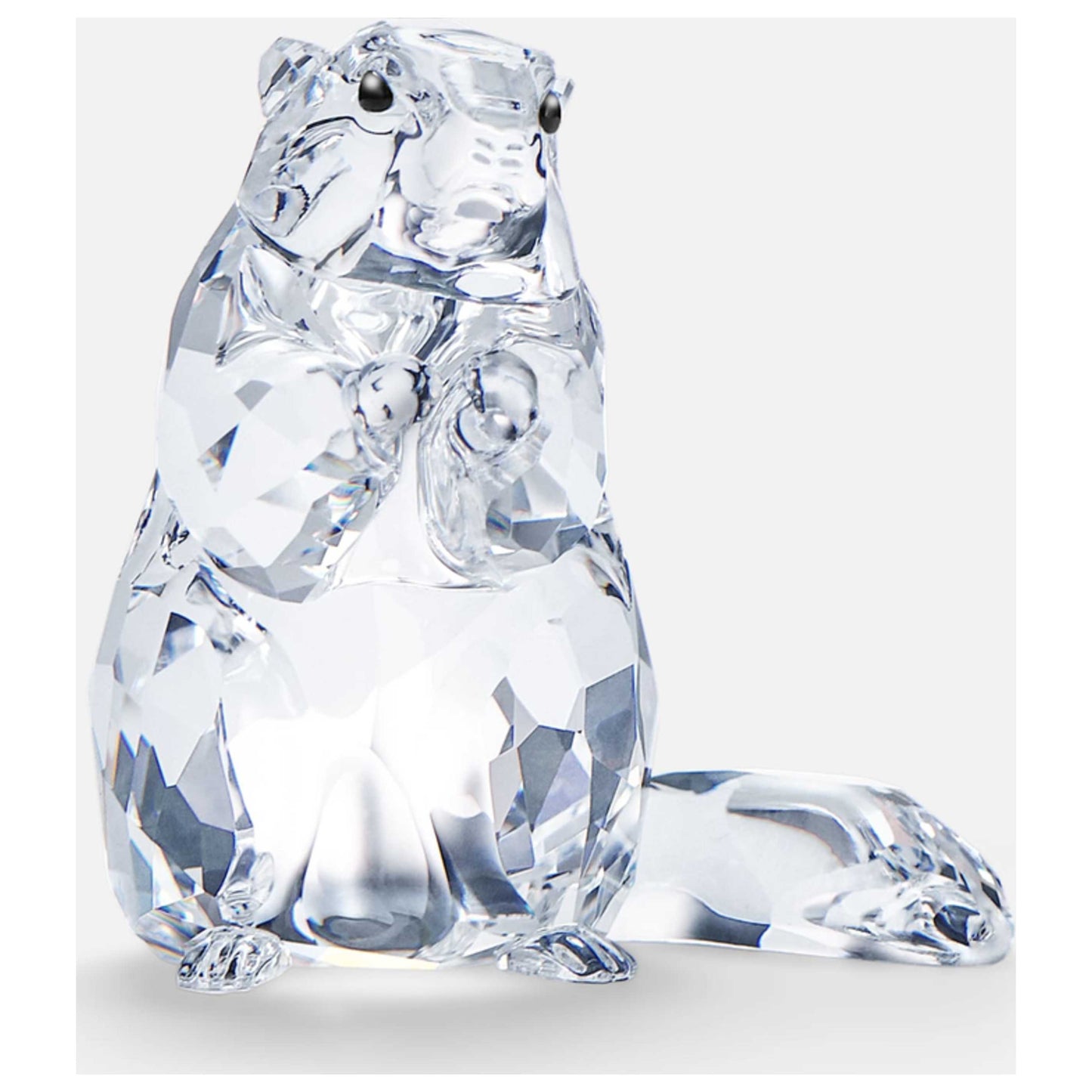 Front view of Swarovski SCS Marmot Unisex Figurine 5493709