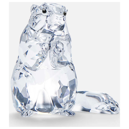 Front view of Swarovski SCS Marmot Unisex Figurine 5493709