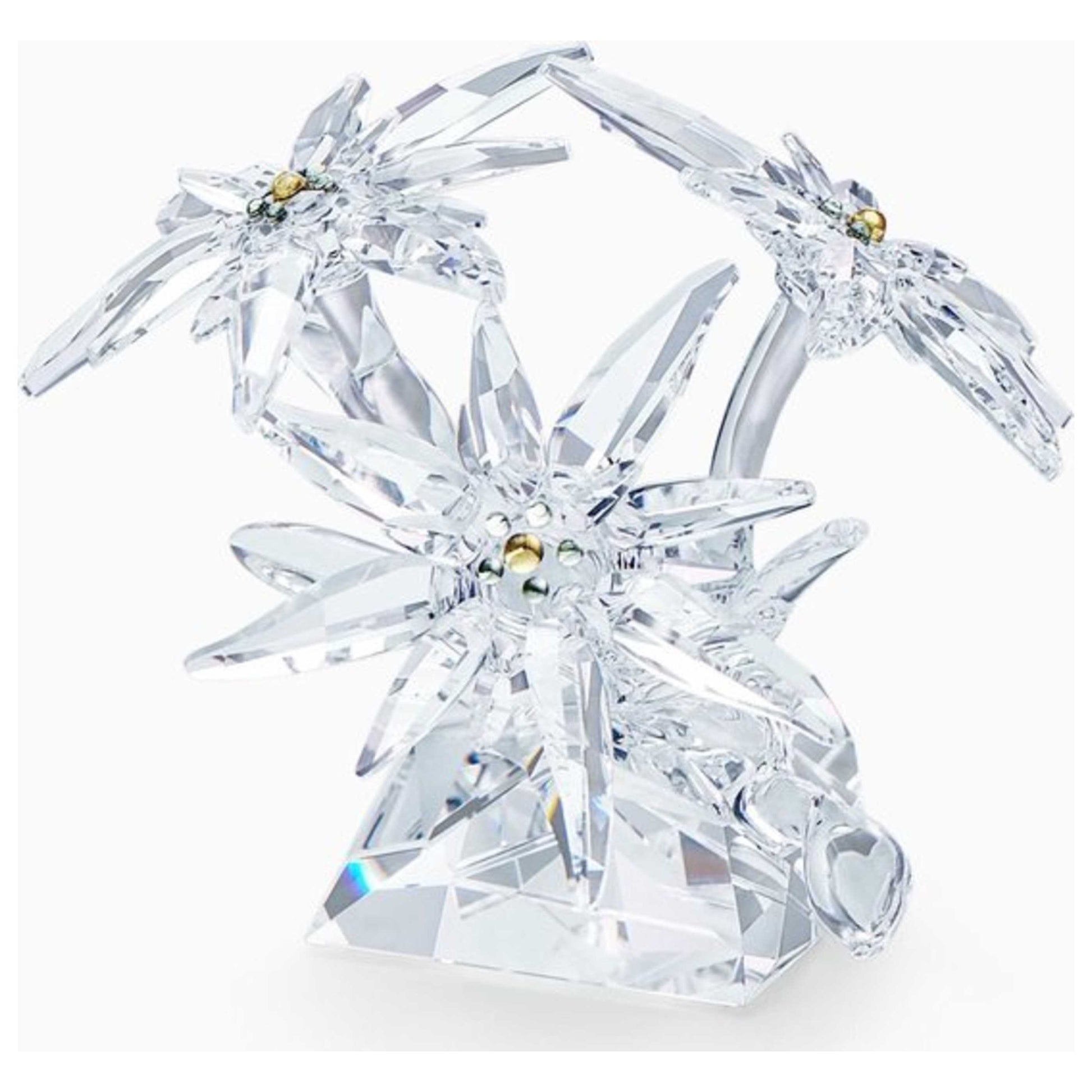Front view of Swarovski SCS Edelweiss Unisex Figurine 5538230
