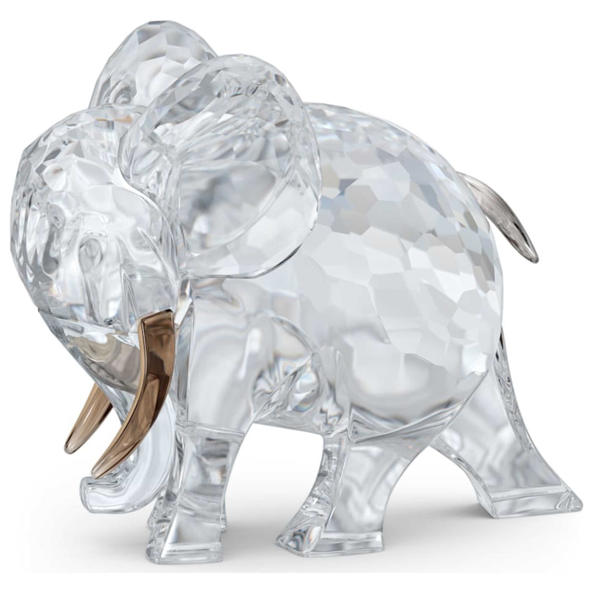 Front view of Swarovski African Sunset Women's 5557855