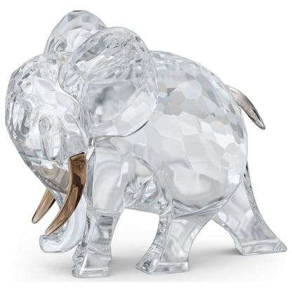 Front view of Swarovski African Sunset Women's 5557855