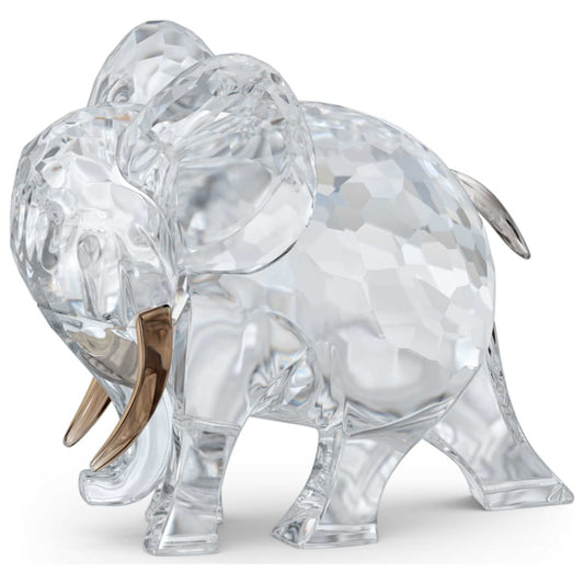 Front view of Swarovski African Sunset Women's 5557855