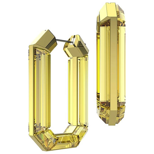 Front view of Swarovski Lucent Women's Earrings 5600789