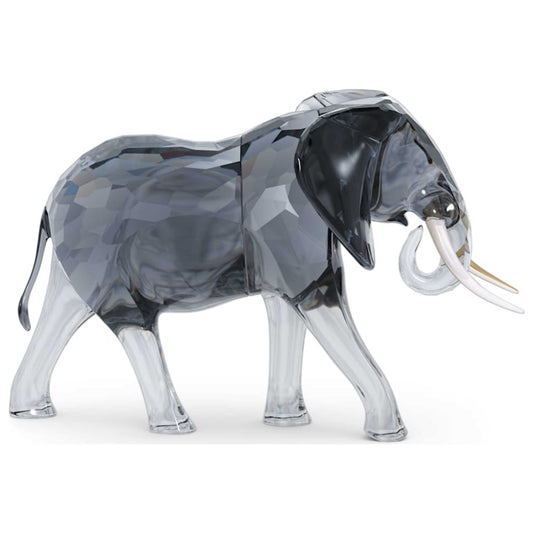 Front view of Swarovski Elegance of Africa: Elephant Figurine 5611302