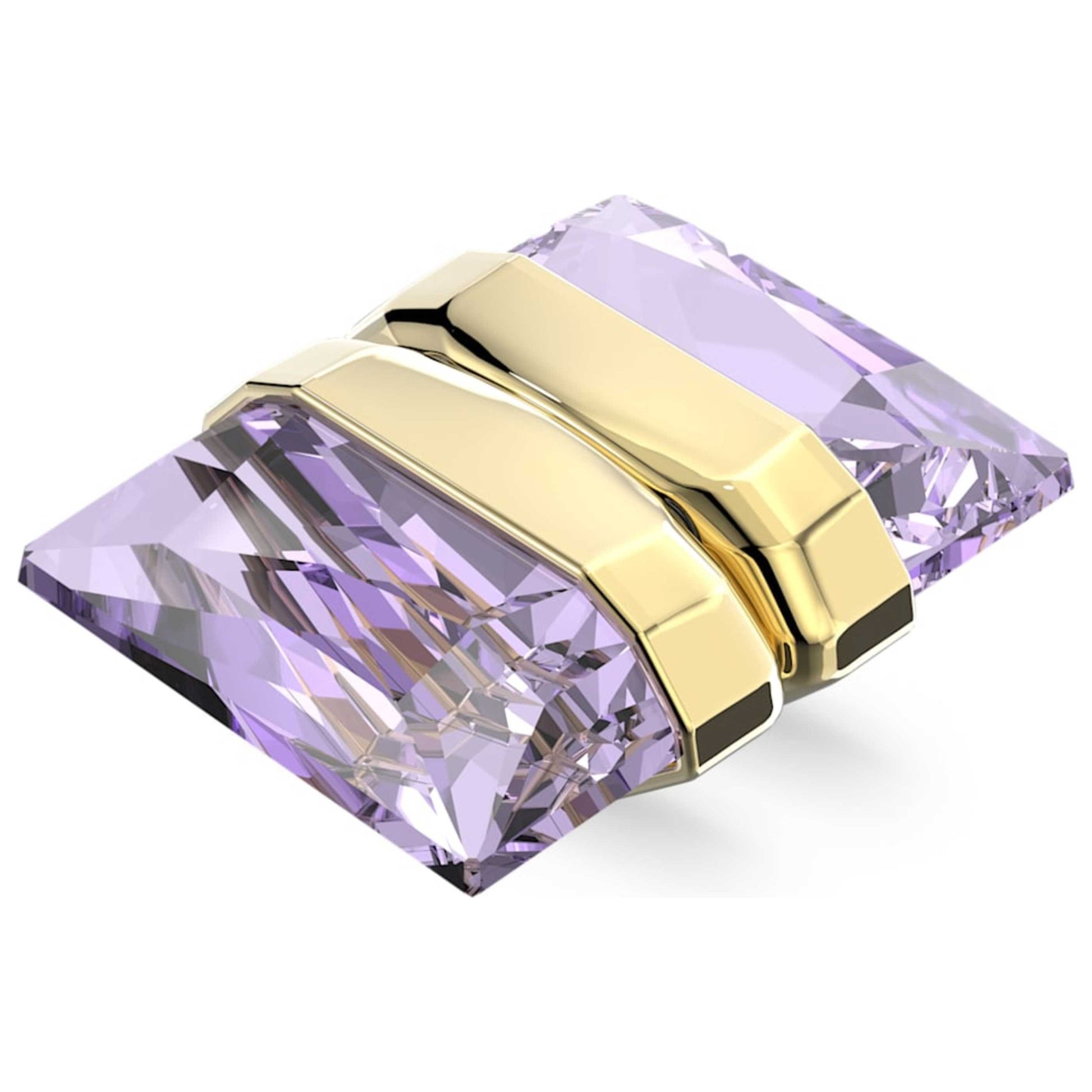 Front view of Swarovski Lucent Women's Earring 5613561