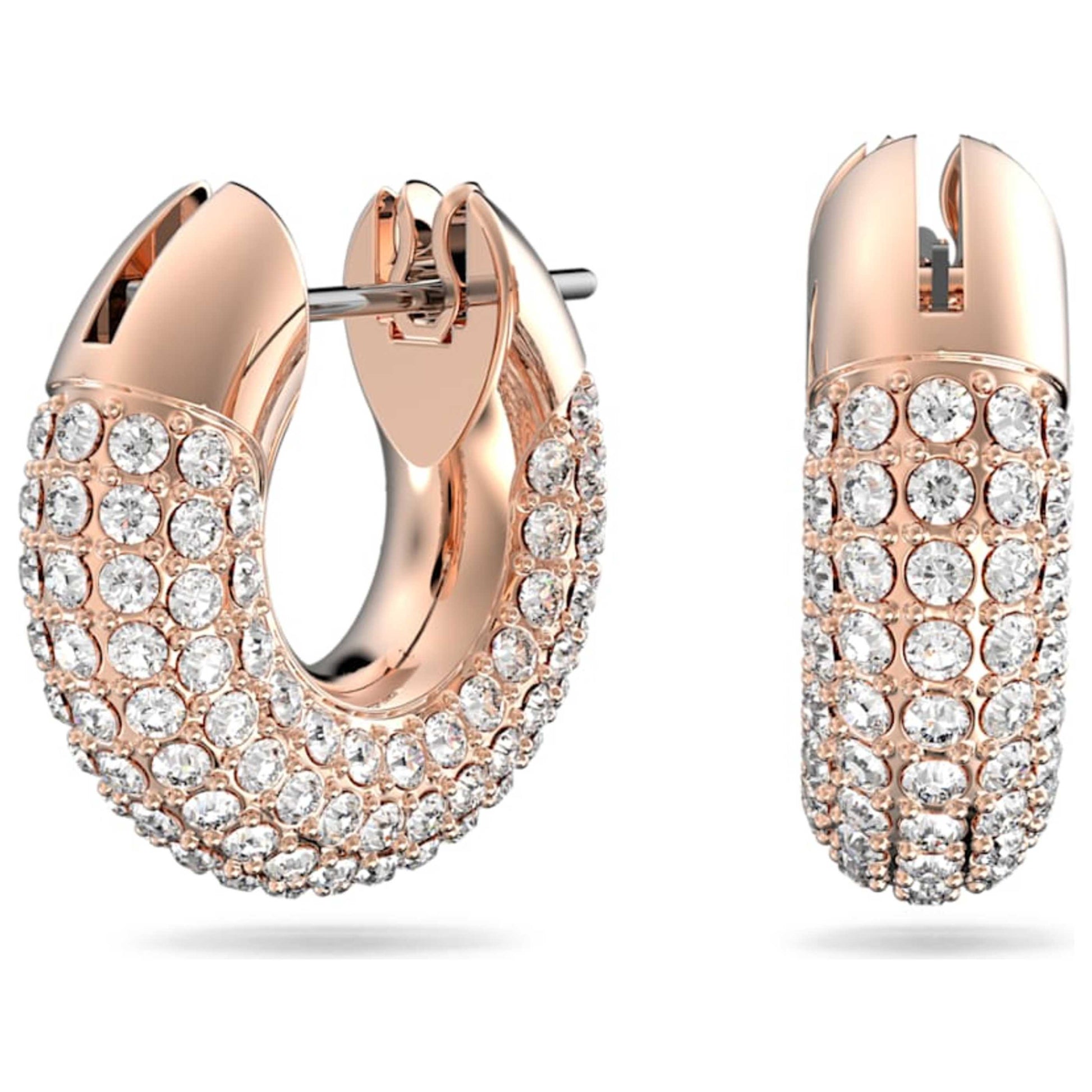 Front view of Swarovski Dextera Women's Earrings 5636531