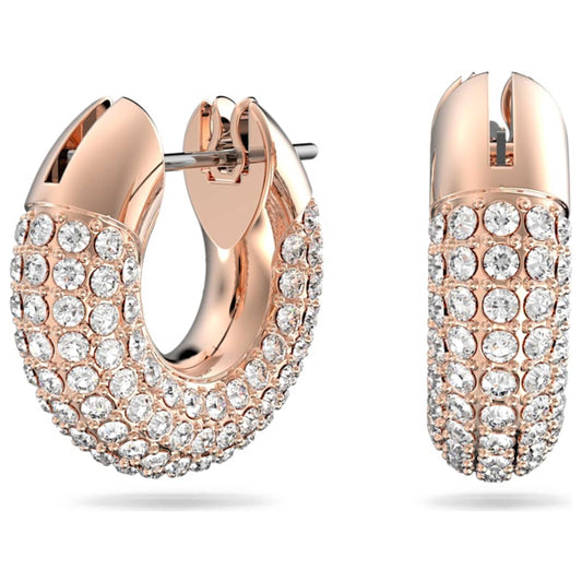Front view of Swarovski Dextera Women's Earrings 5636531